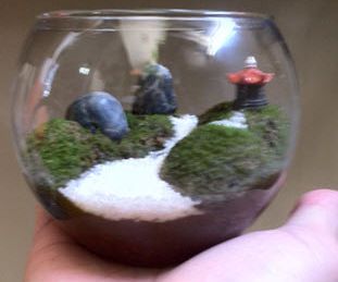 Moss Terrarium "Journey"