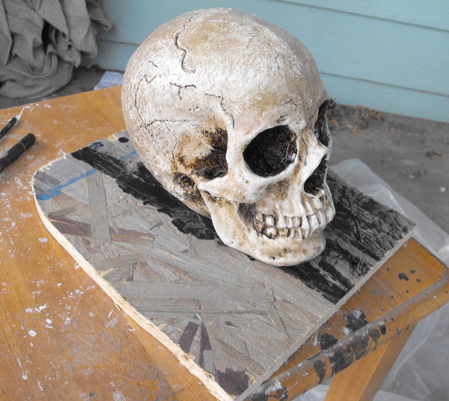 Plaster Molds and Foam Skulls