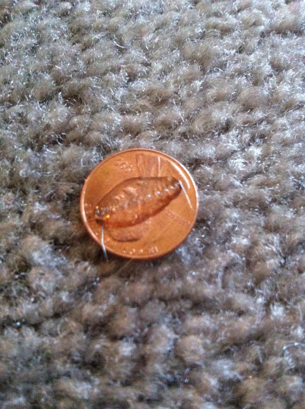 Homemade Mini Heating Plate