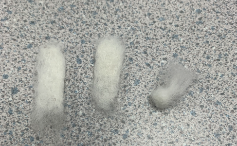 Felt Your Ears and Tail