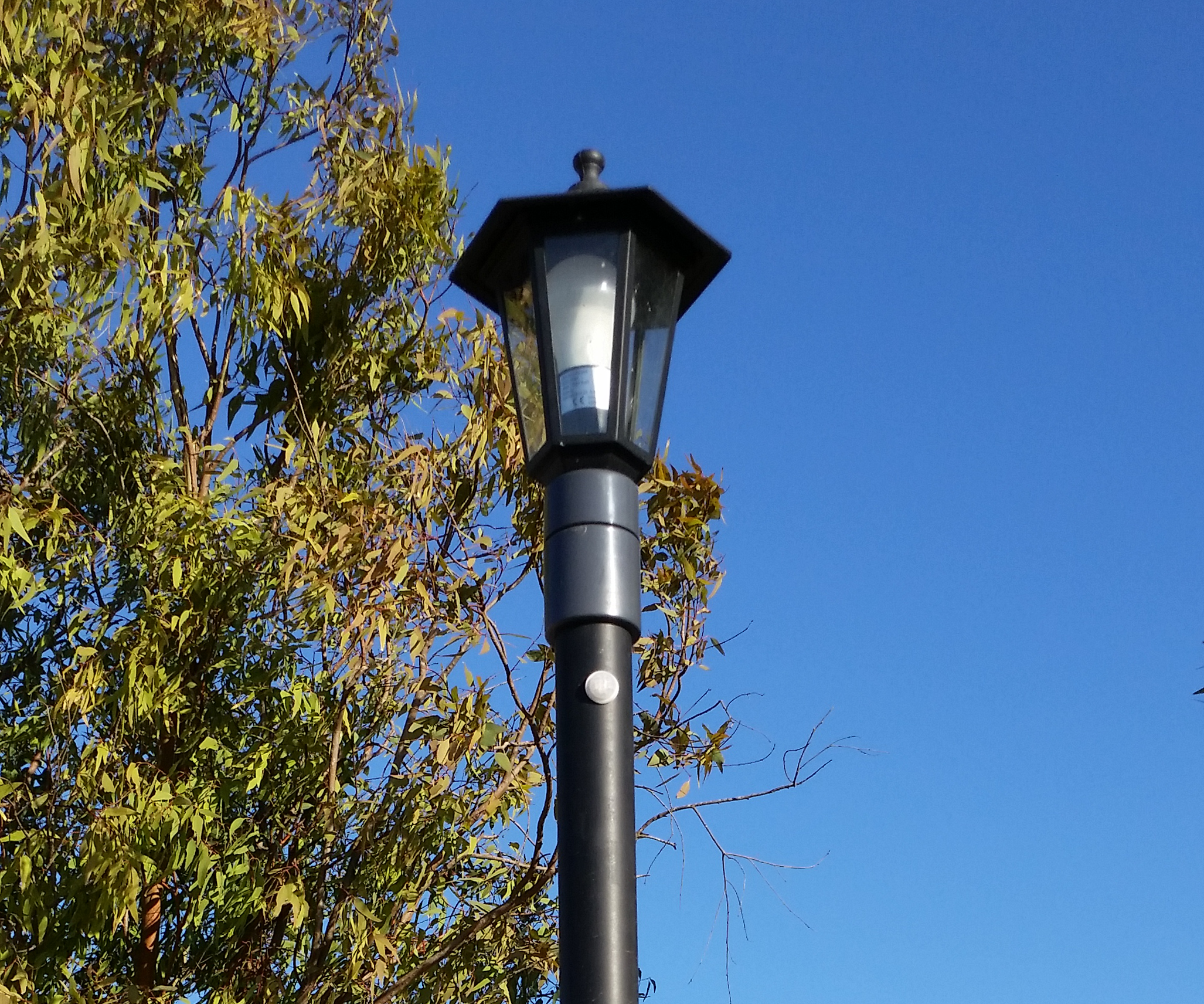 $20 Streetlamp / Streetlight