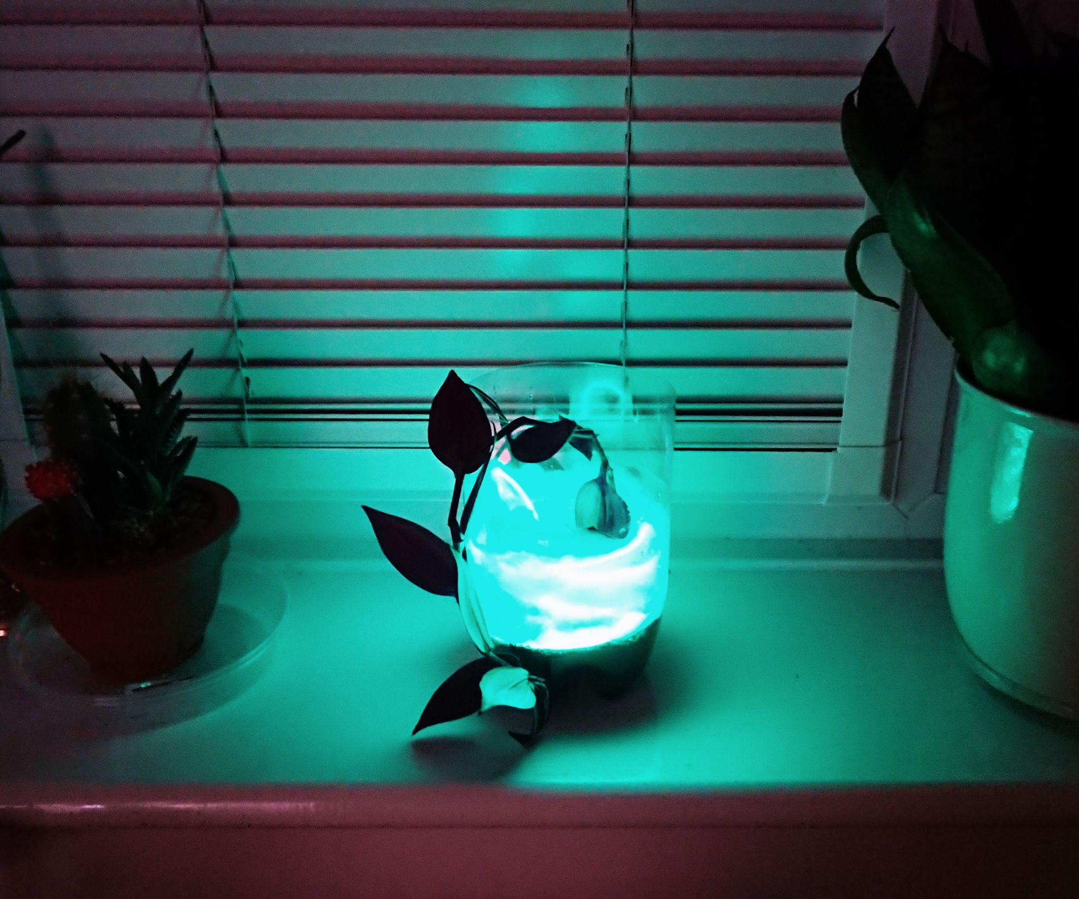 EL Wire Plant Pot 6 Steps Instructables