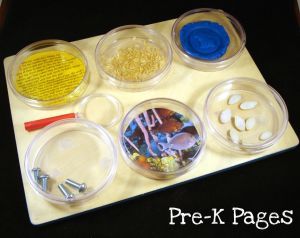 DIY Science Magnifying Board