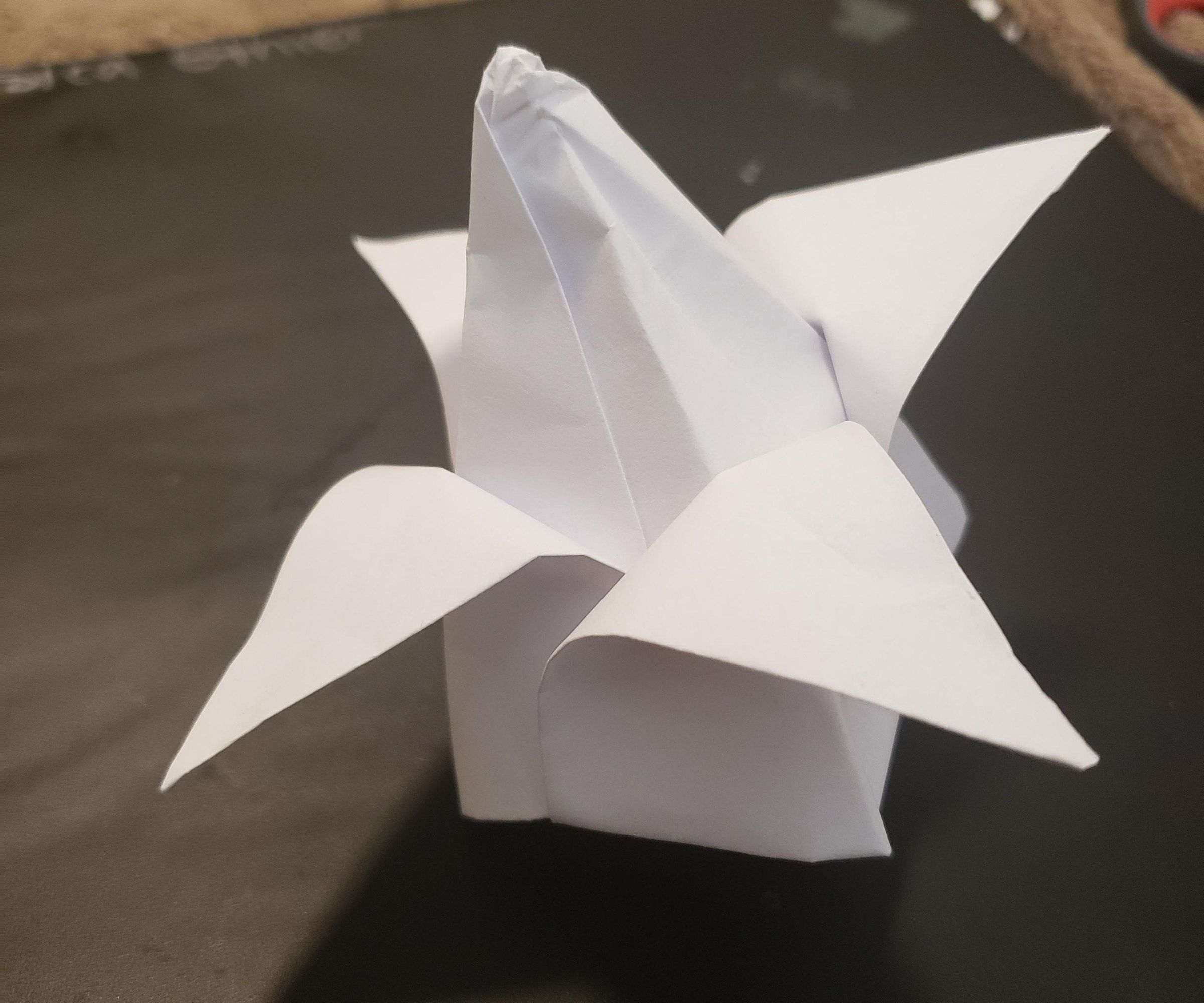 Folding an Origami Flower