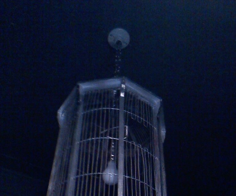 Birdcage Chandelier