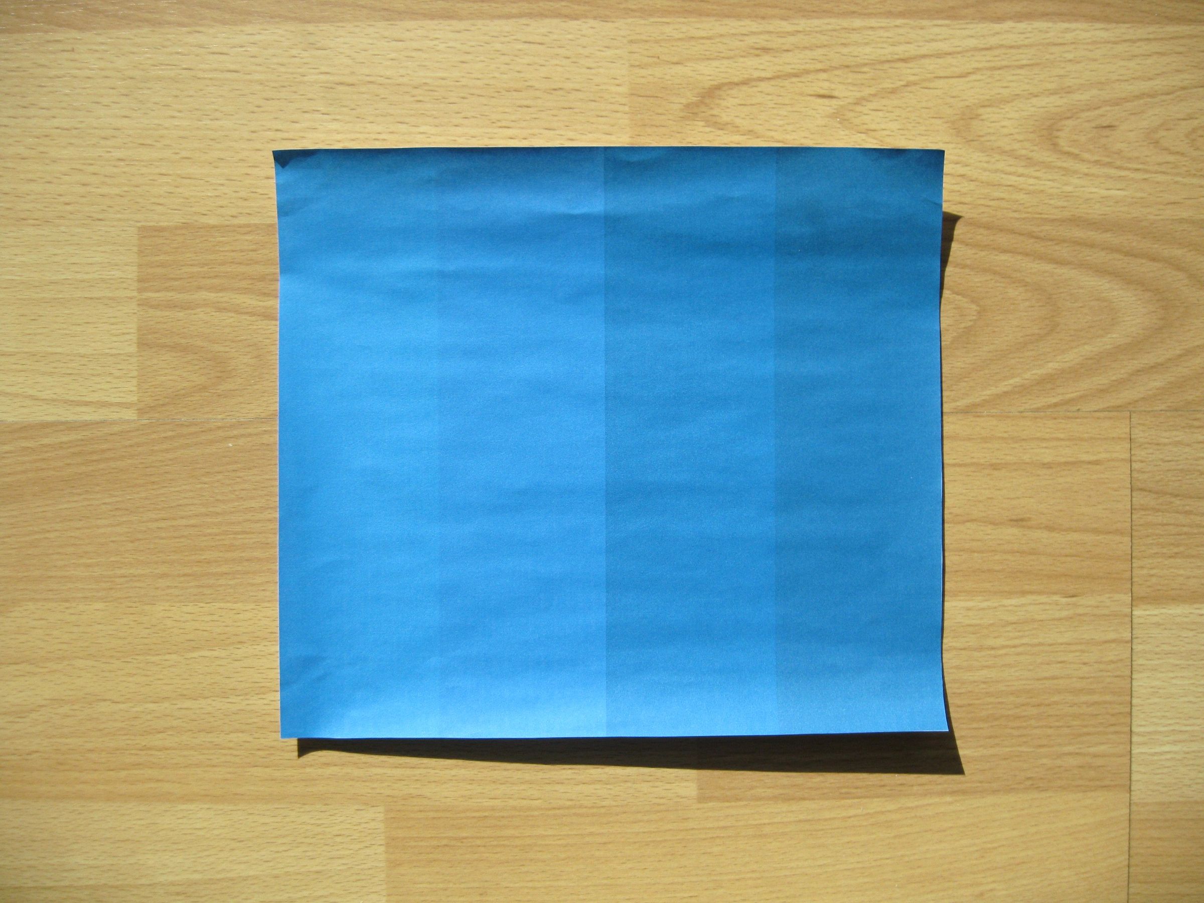 Shady Optical Illusion