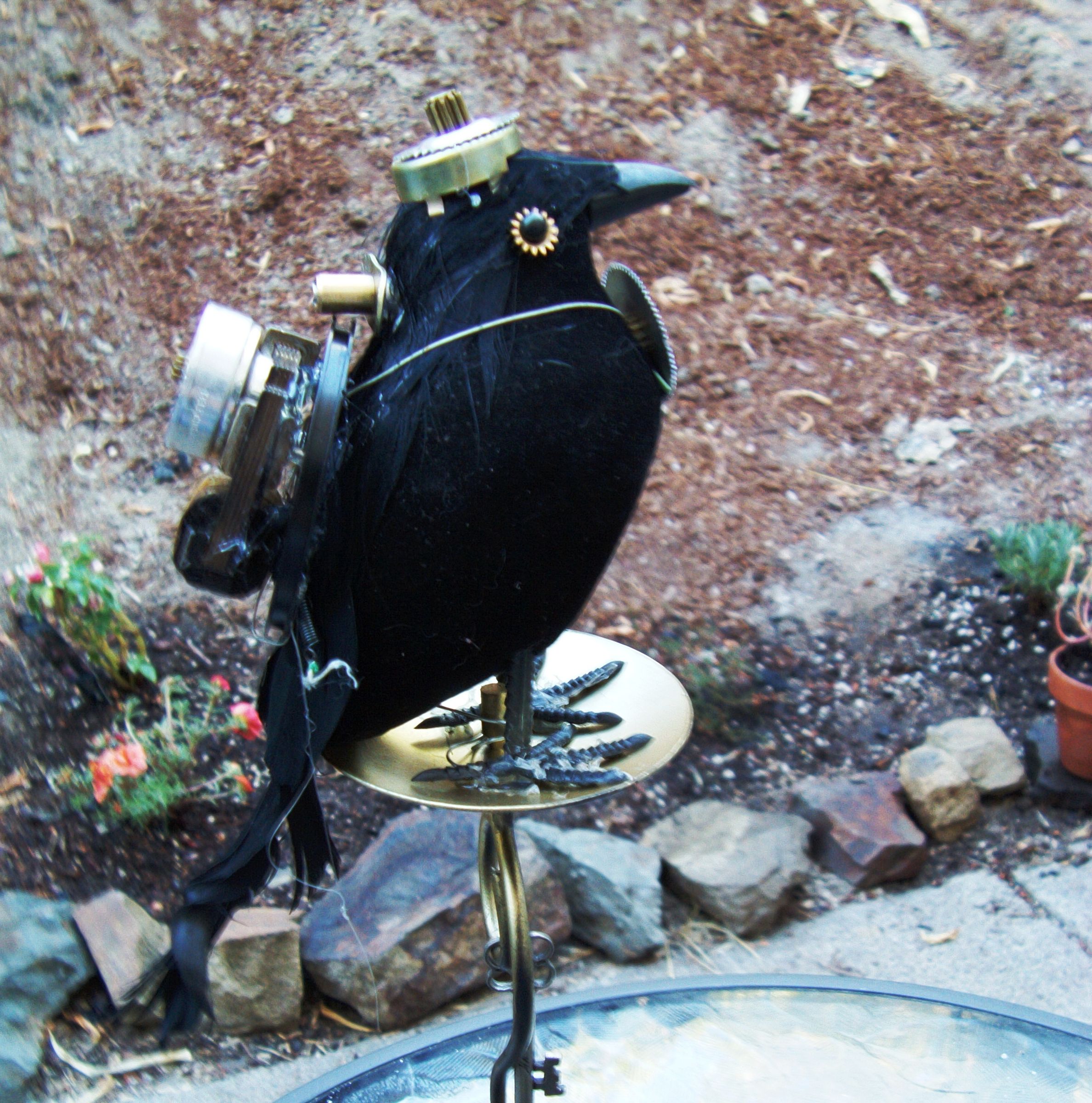 Crow Keyguard