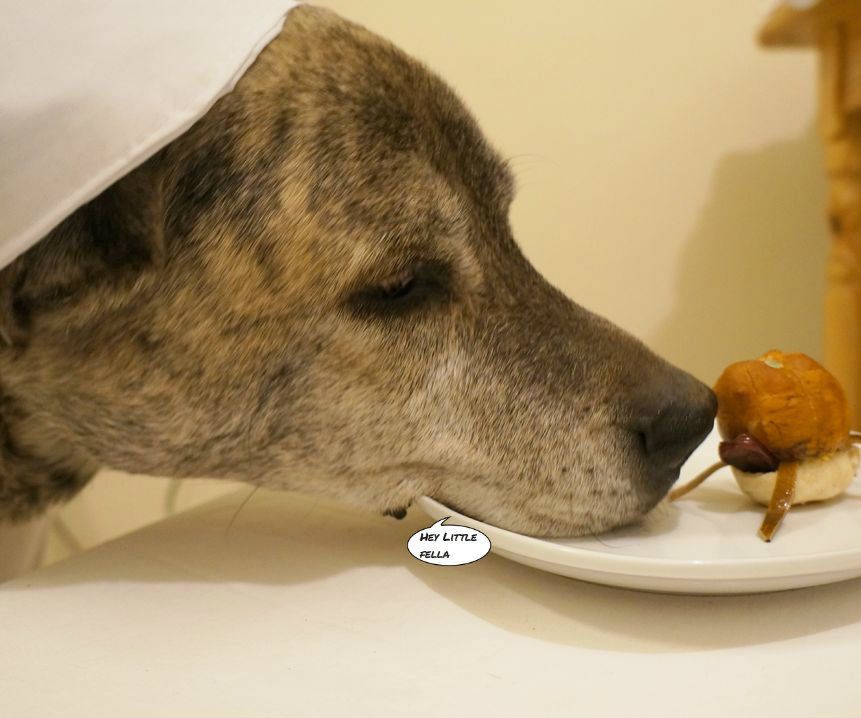 Pet Birthday Cake Recipe With Pictures