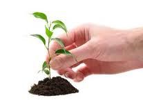 How to Save Trees and Save World