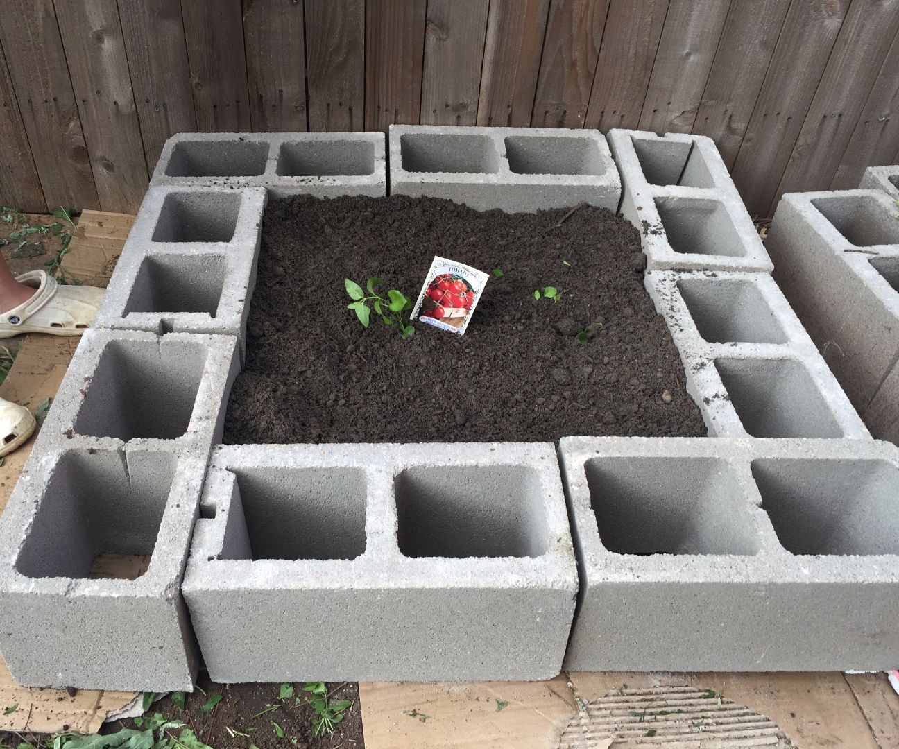 How to Make a Raised Garden Bed With Tomatoes