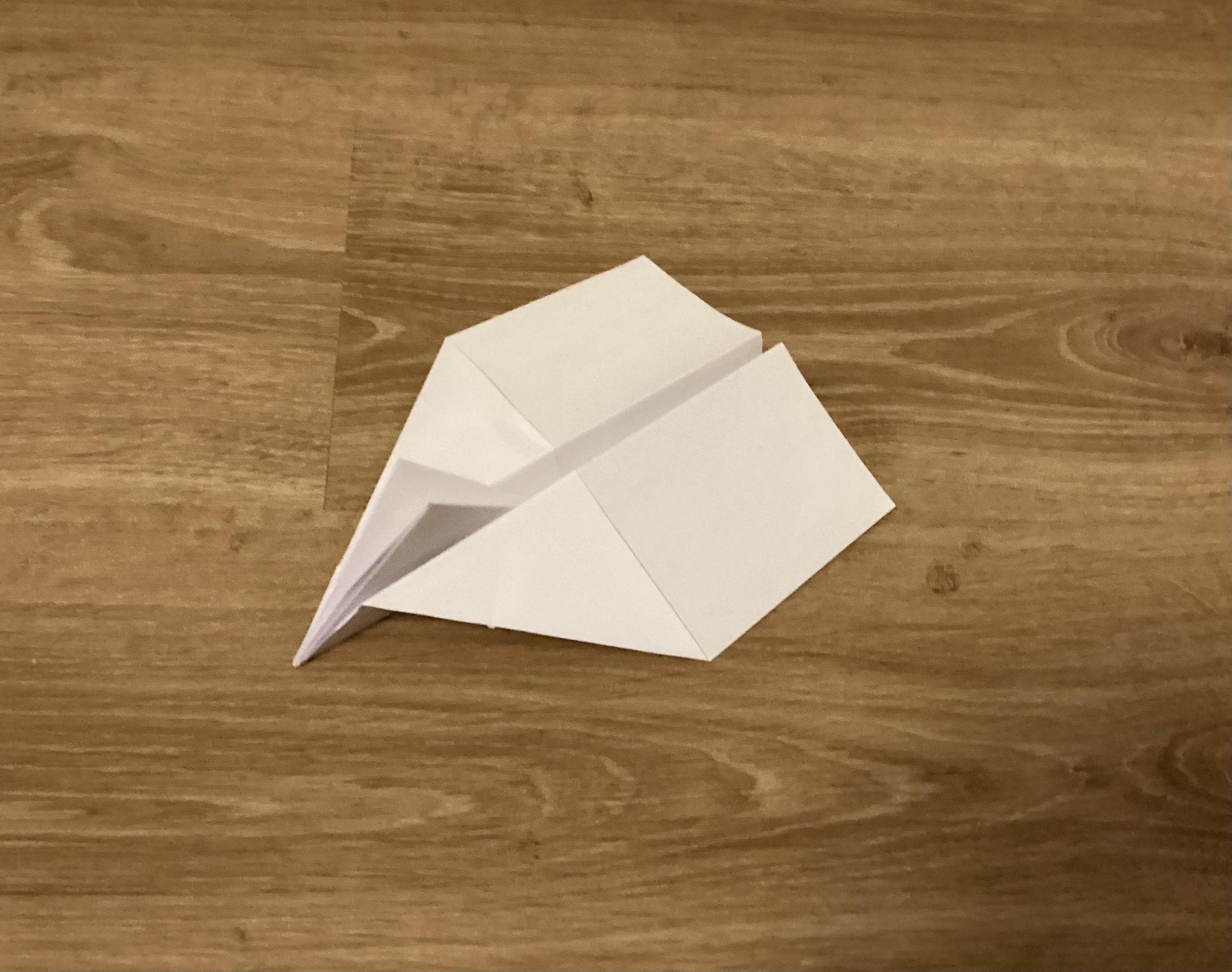 The Crow Paper Airplane