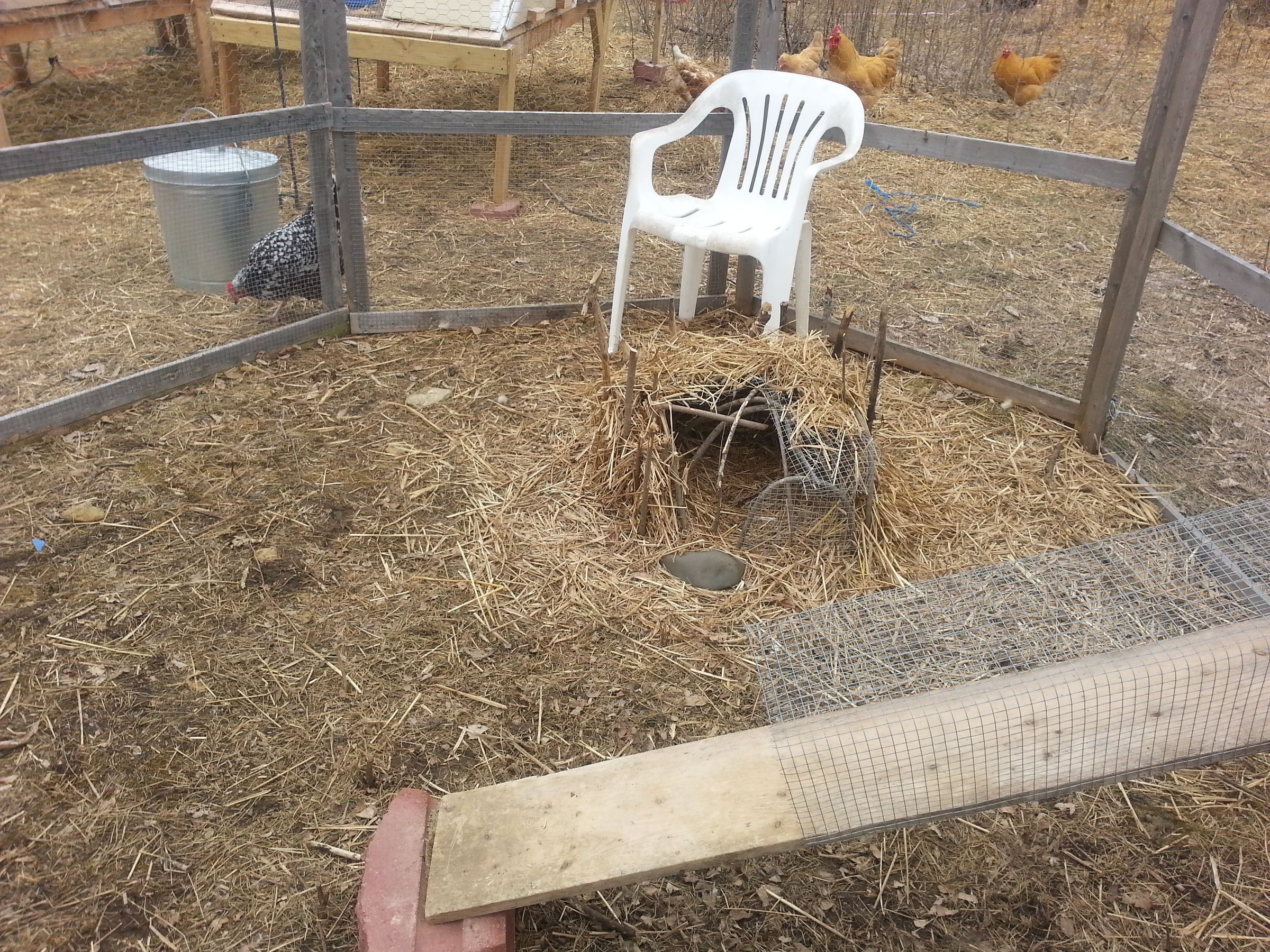Rabbit Playpen That Will Make Your Neighbor's Rabbit Jealous! 7 Steps