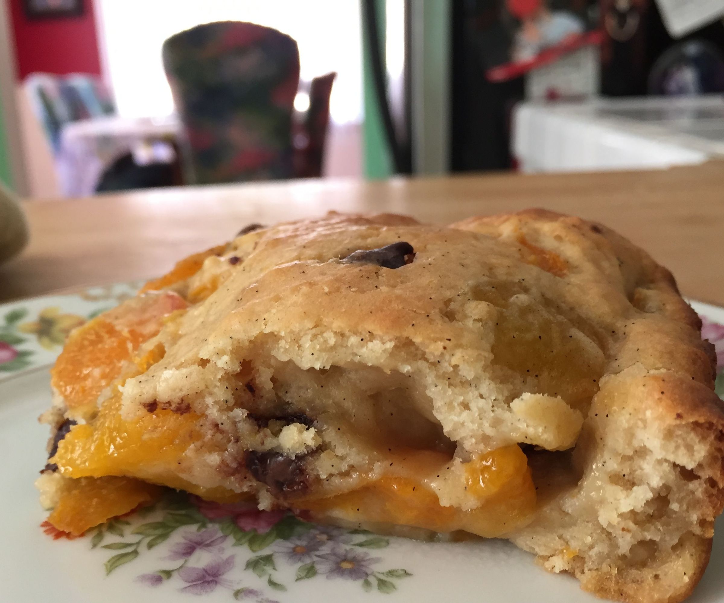 Yummy (and Healthy-ish) Fresh Apricot and Chocolate Chip Cake