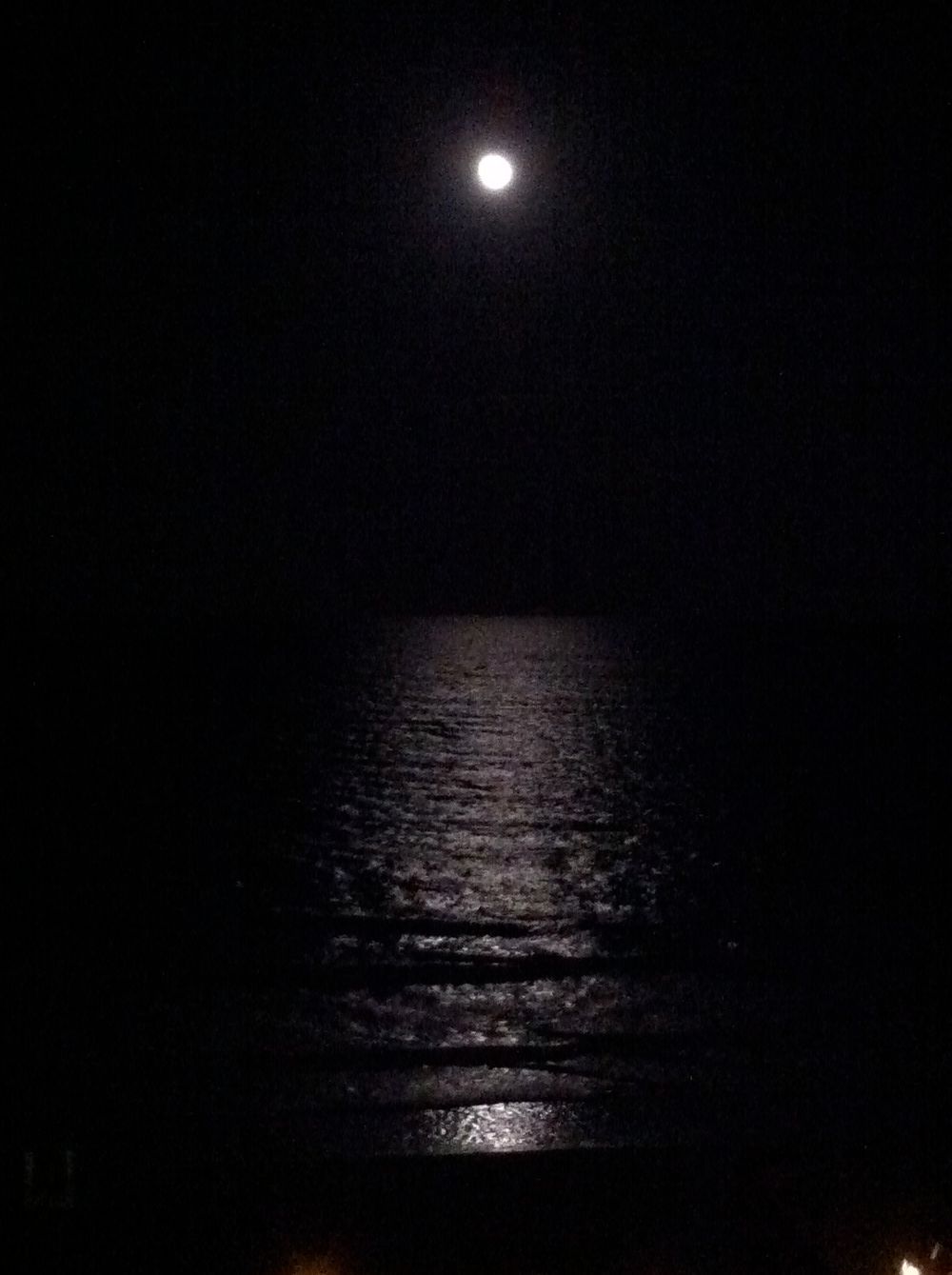 My Awesome NC Vacation