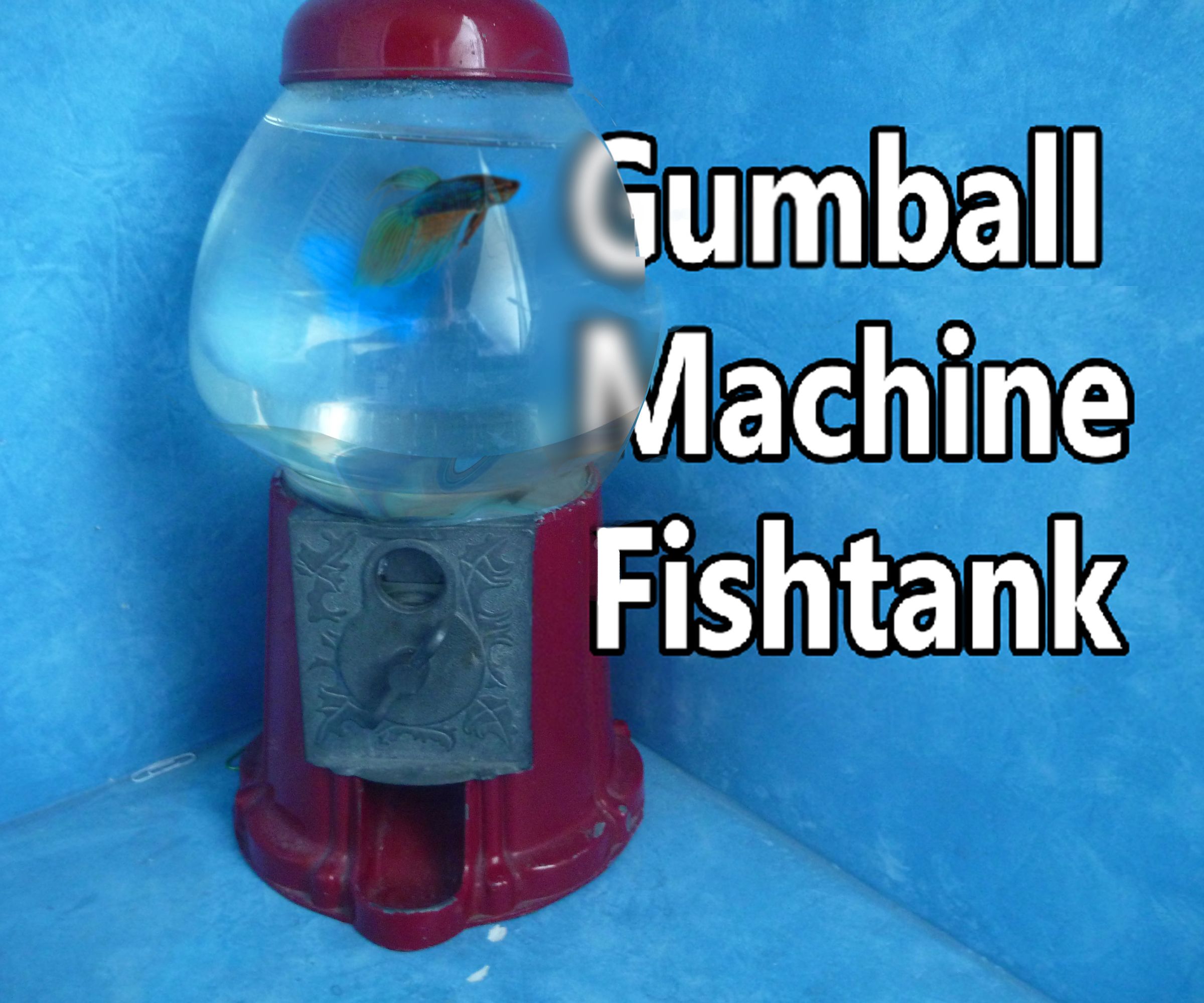 Gumball Machine Fishtank