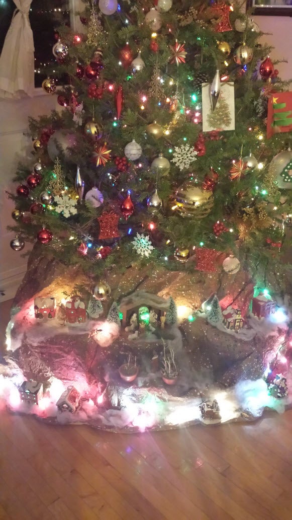 Lentil and Chickpea Nativity Plants