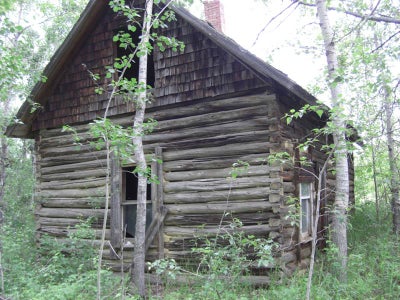 Find Some Old Wood to Salvage