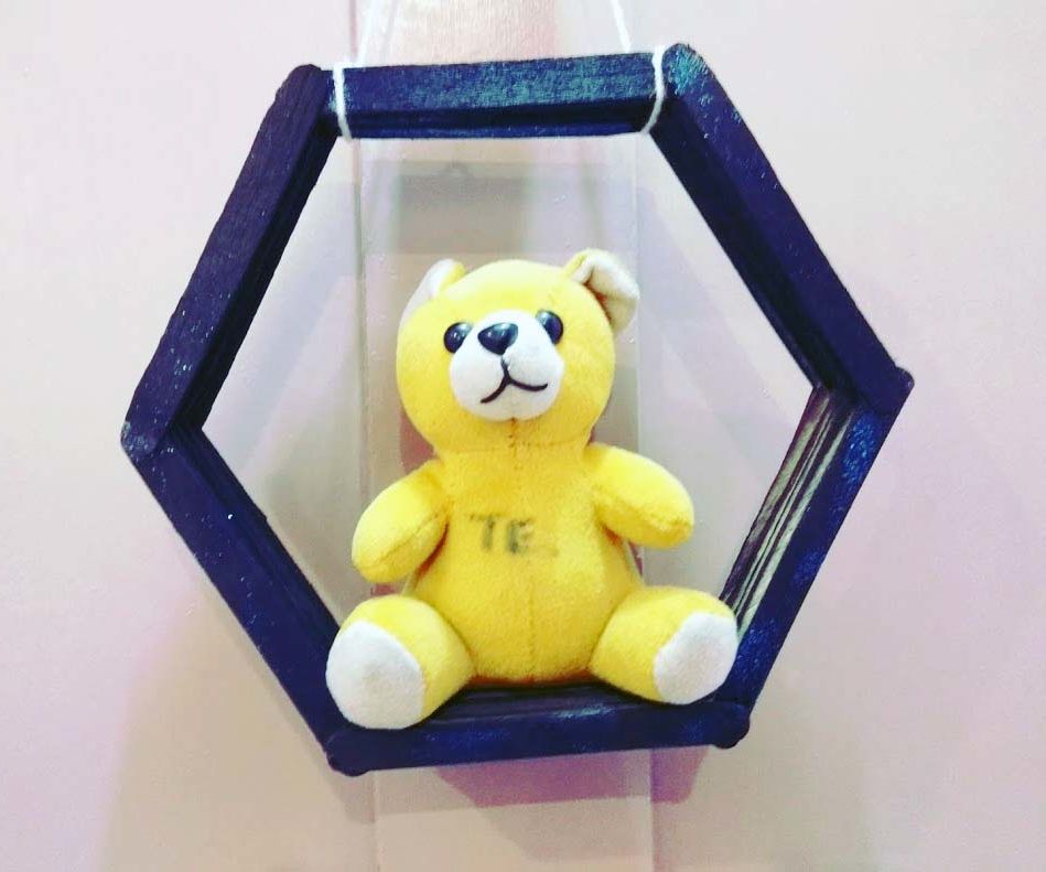 DIY Honeycomb Wall Shelf