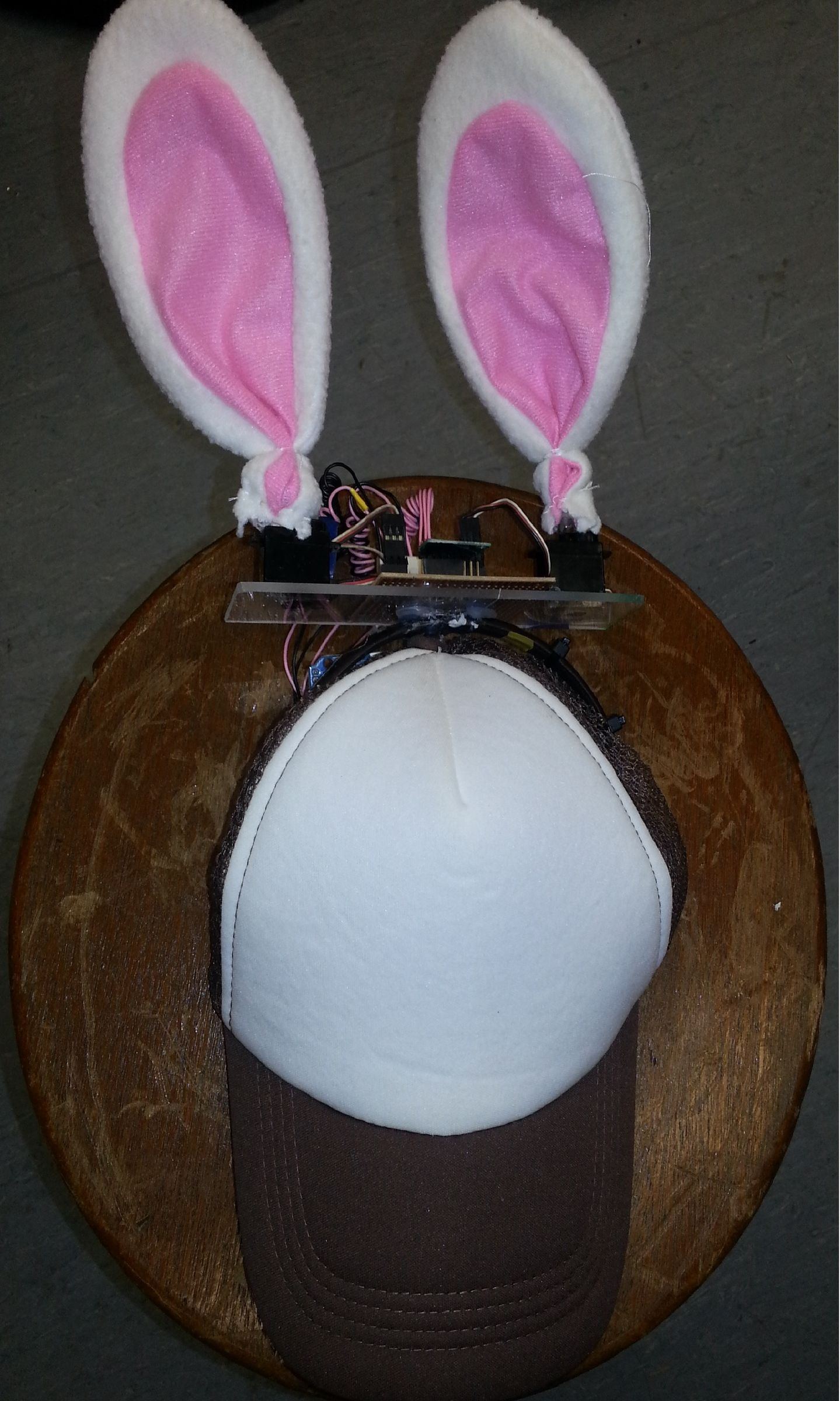 Rabbit Ears on a Cap