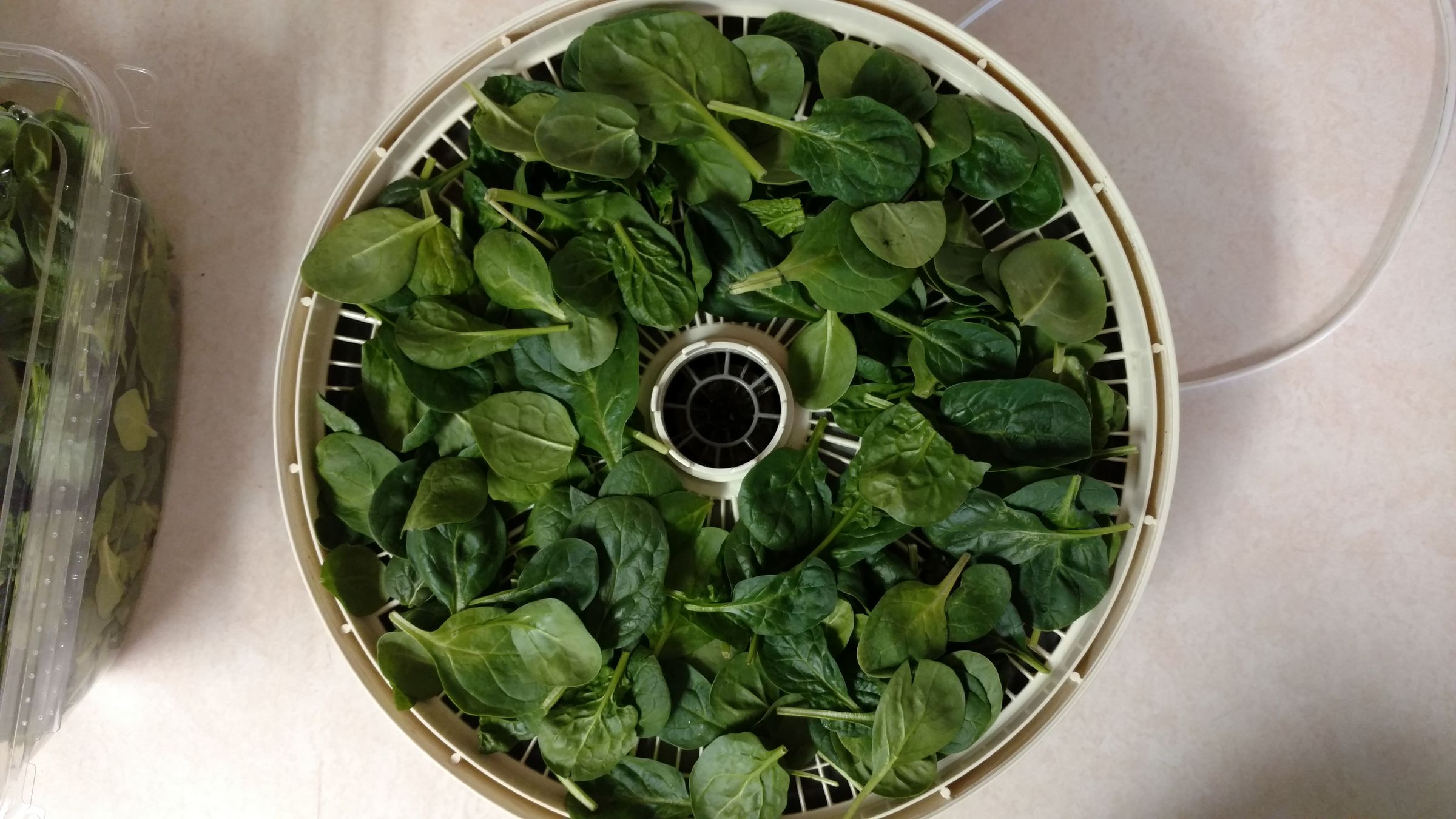 Dehydrating Organic Spinach Fast 13 Steps (with Pictures) Instructables