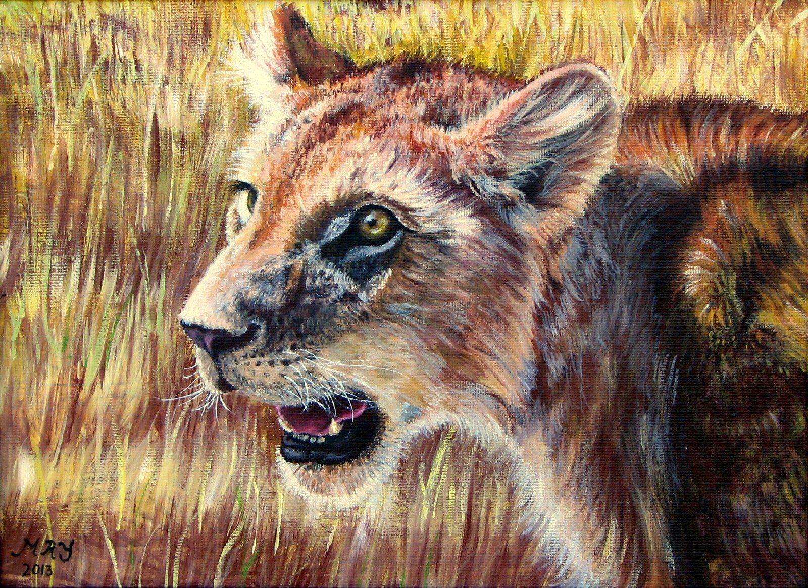 Portrait of a Lion