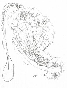 Painting the Road/tunnel