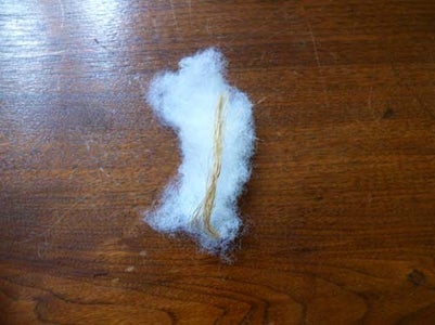 The Scalp
