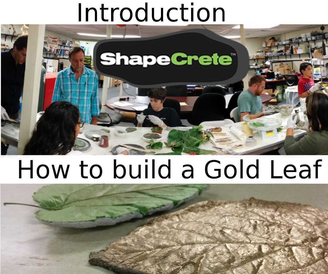 Introduction to ShapeCrete (making a Basic Leaf Print)