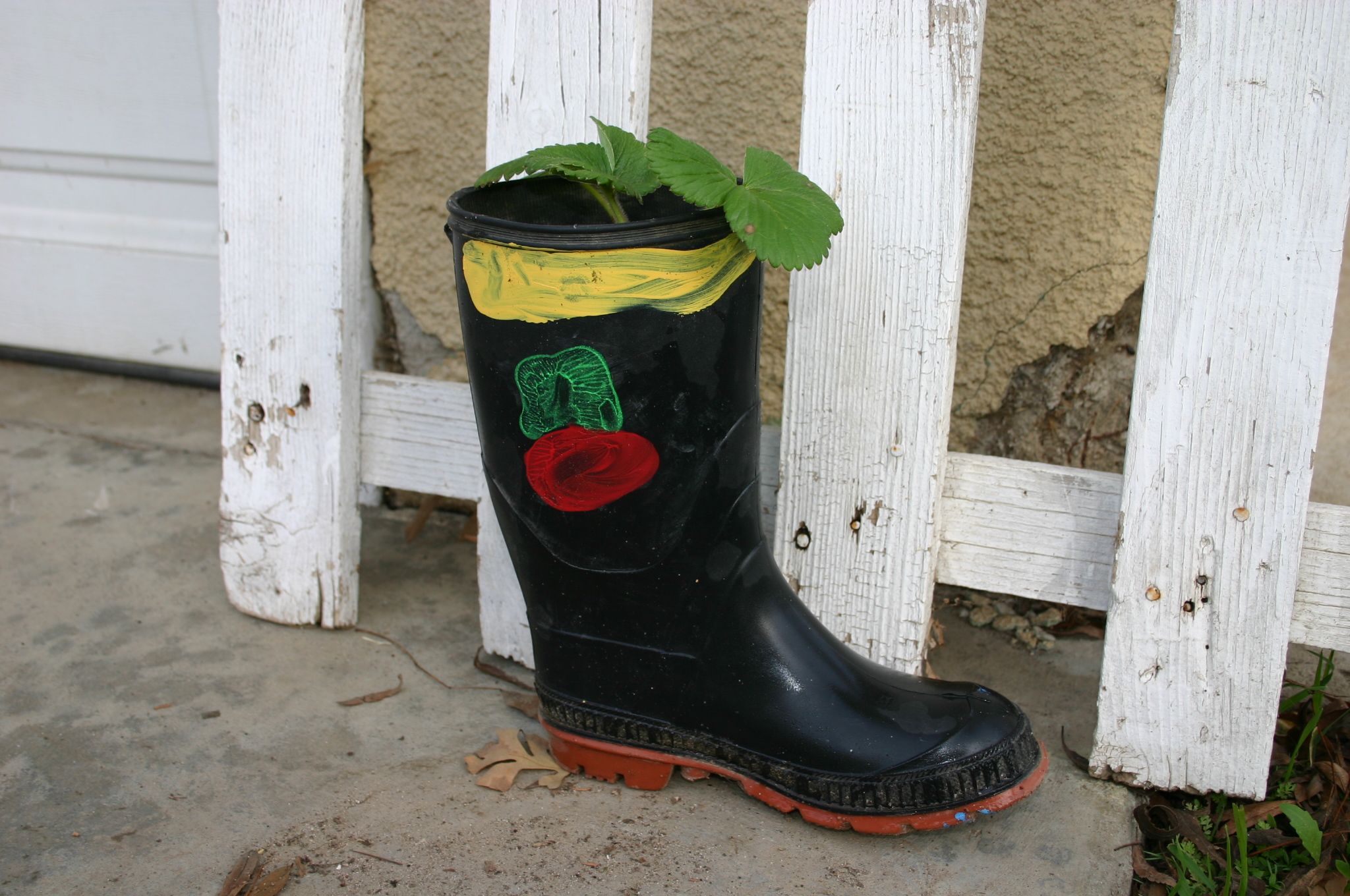 Make Healthy Fun! How to Plant a Garden in Any Container