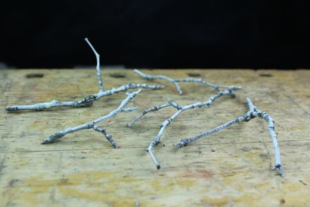 Spray White the Twigs White
