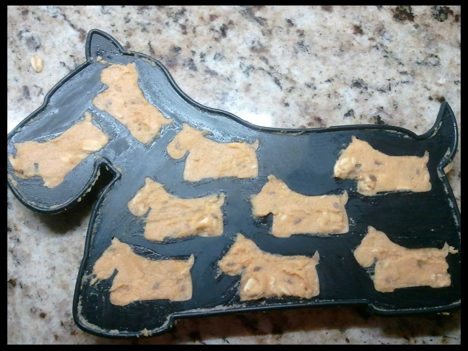 Frozen Dog Treats / Kong Filler 6 Steps (with Pictures) Instructables