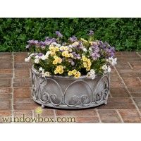 Container Gardening a Better Way to Start a Productive Hobby