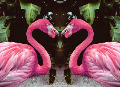 How to Mirror an Image in Photoshop