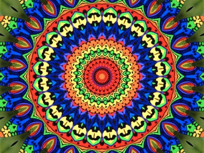 Designing the Image