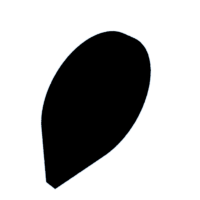 download {{ file.name }}