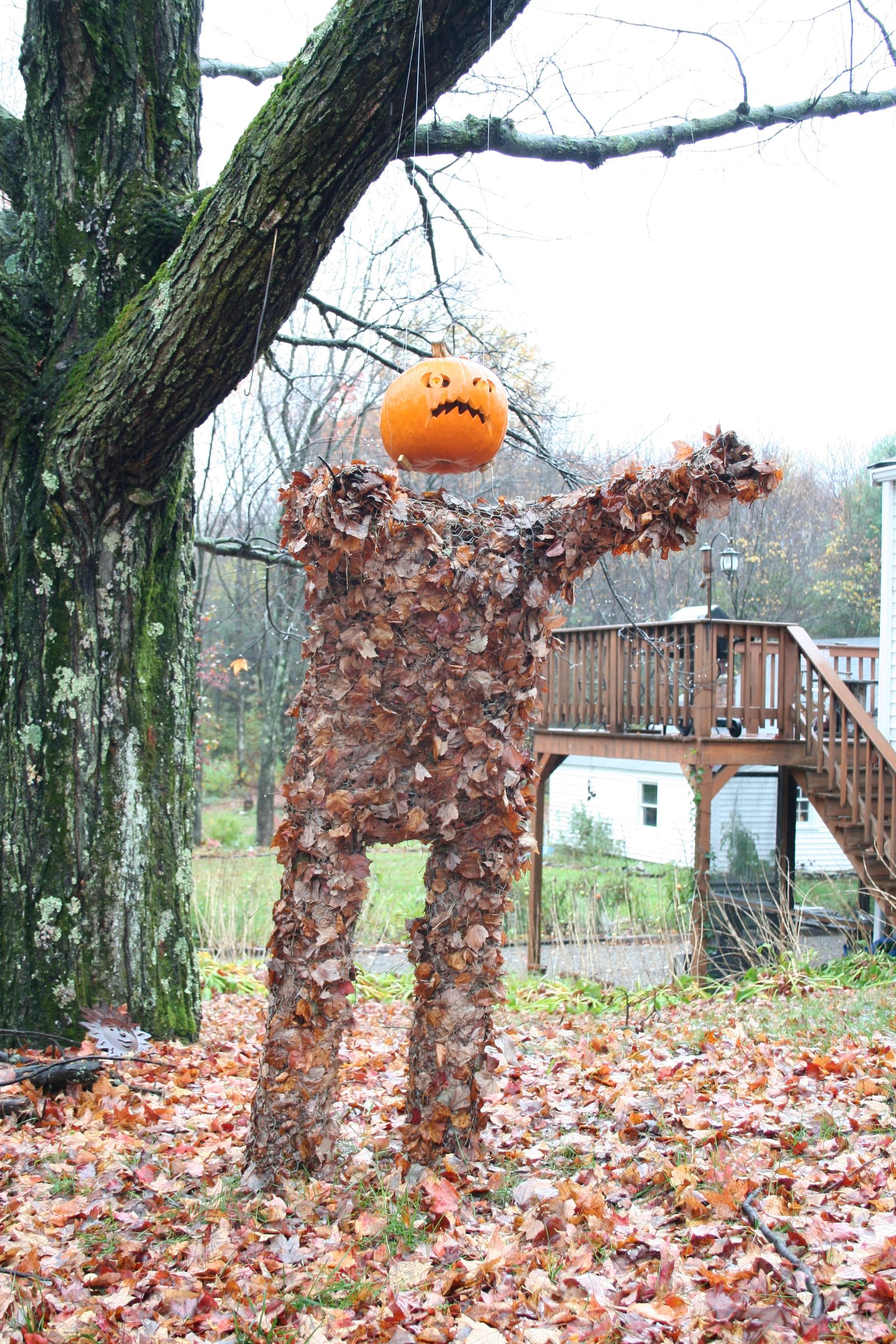 The Leafman
