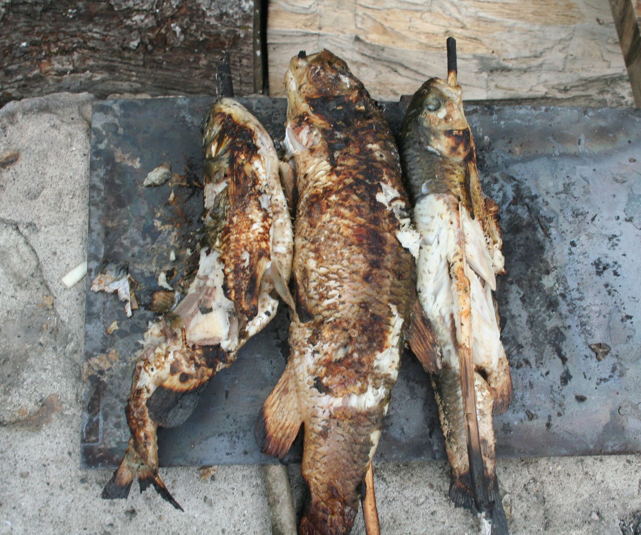 Real Outdoor Cooking