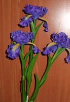 How to make Clay Flower Iris tutorial / Polymer Clay / Sugar Craft / Cake Decoration DIY