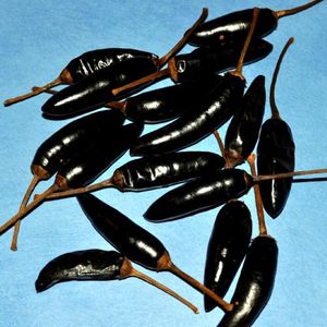 Why Rack Drying Needs Your Attention