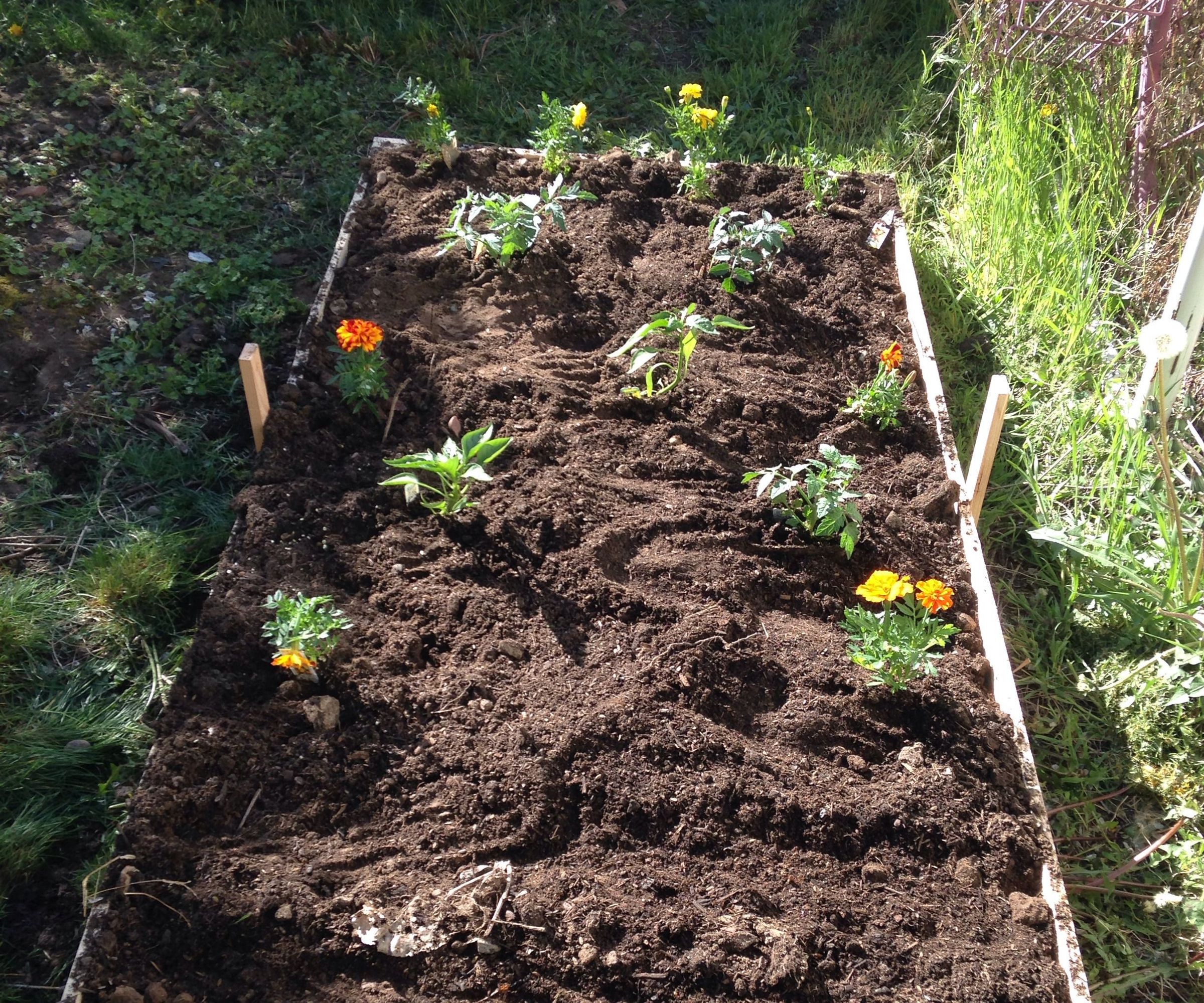 Garden Bed