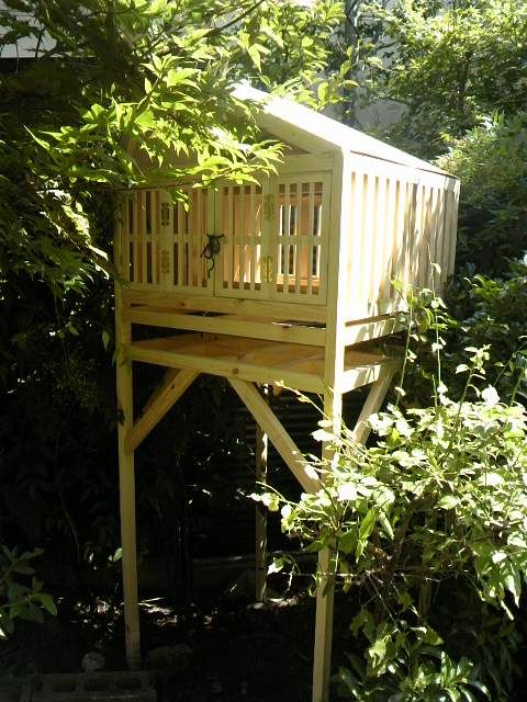 The Stilts-Styled Quail House