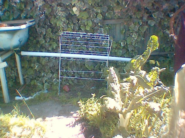 Simple Grey Water Gardening Hack