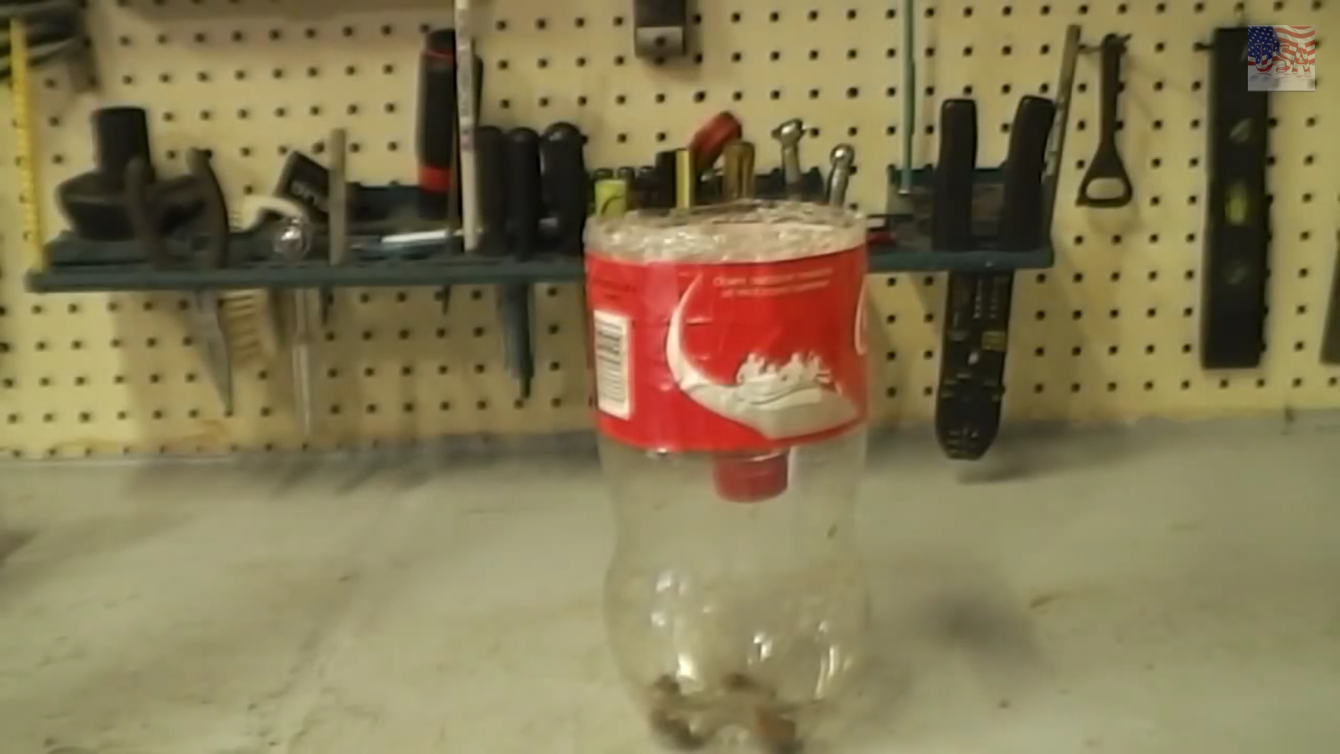 Make a Fly Trap