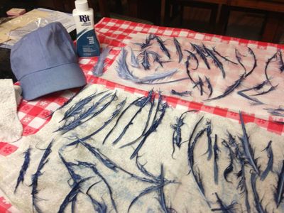 Dye Feathers and Cap
