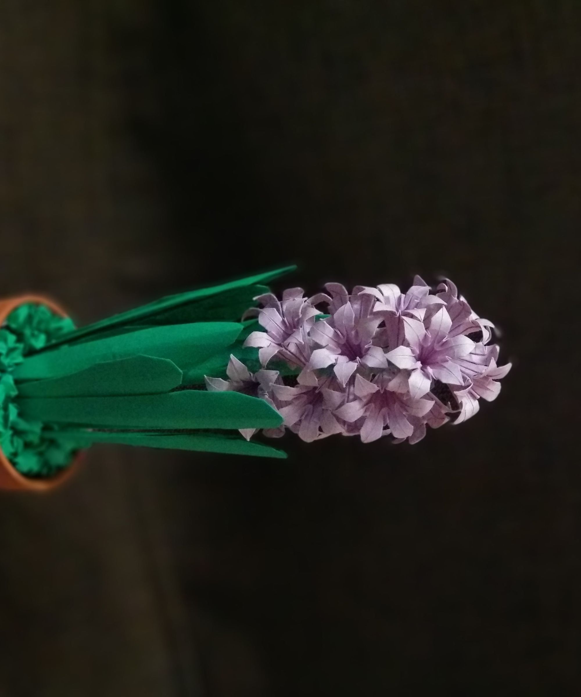 Origami Hyacinth