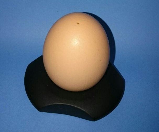 Hidden Nougat Egg