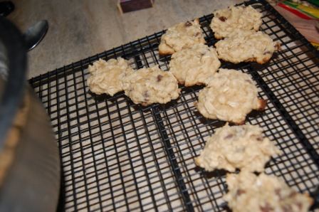 Yummy Coco-Chocolate Chip Oatmeal Cookies