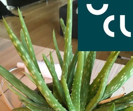 UCL - Embedded - Moisture Control of Plant