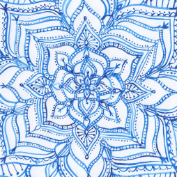 melia.swirsky