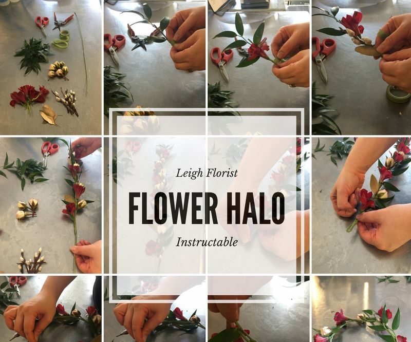 Make Your Own Flower Crown